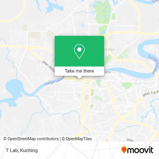T Lab map