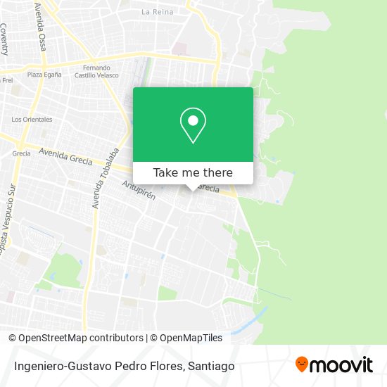 Ingeniero-Gustavo Pedro Flores map