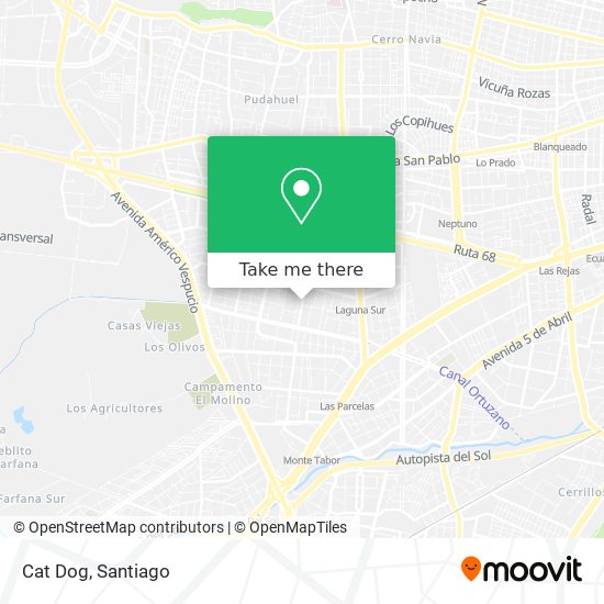 Cat Dog map