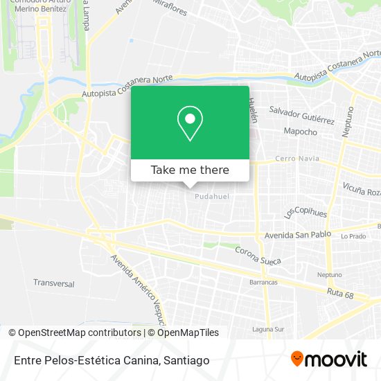 Entre Pelos-Estética Canina map