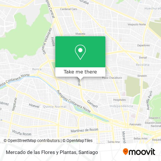 Mapa de Mercado de las Flores y Plantas