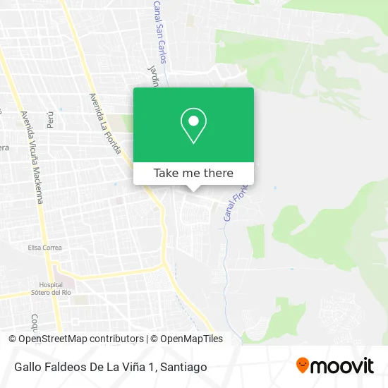 Gallo Faldeos De La Viña 1 map