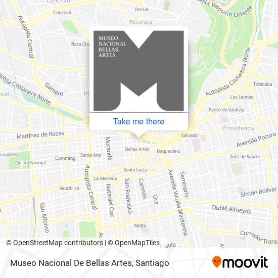 Museo Nacional De Bellas Artes map