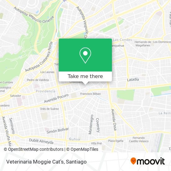 Veterinaria Moggie Cat's map