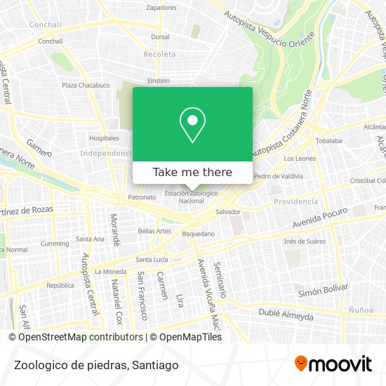 Mapa de Zoologico de piedras