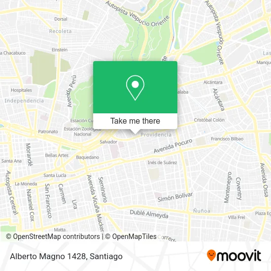 Alberto Magno 1428 map