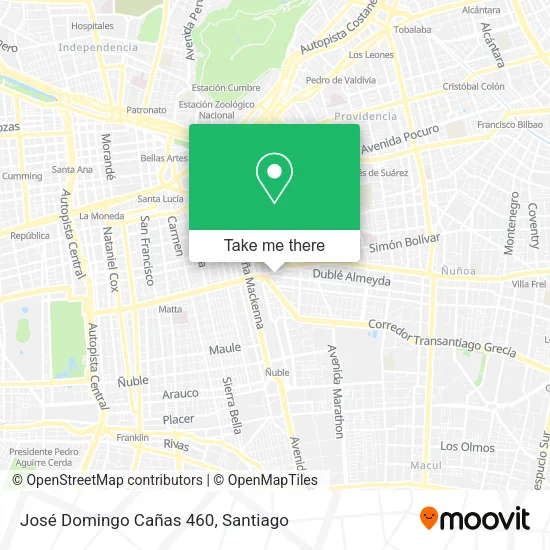 José Domingo Cañas 460 map