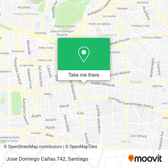 José Domingo Cañas 742 map