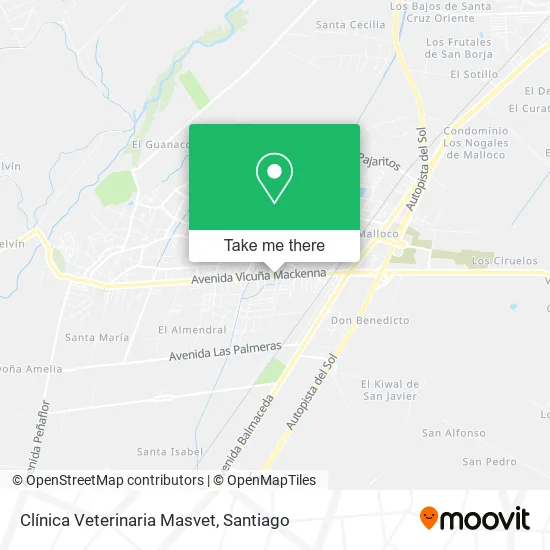Clínica Veterinaria Masvet map