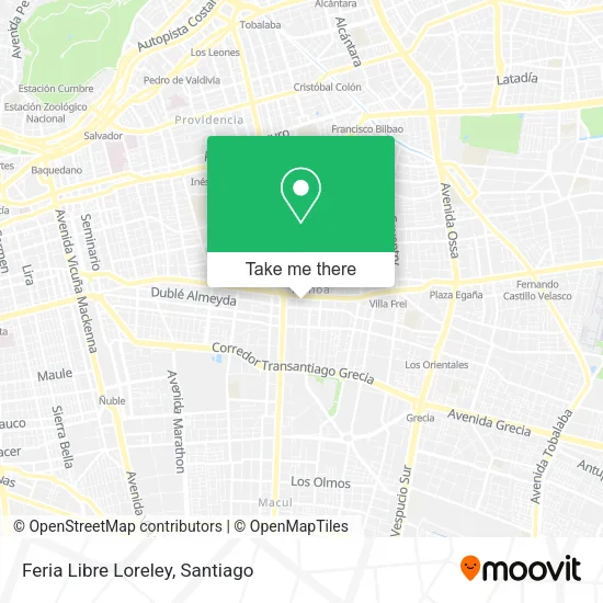 Feria Libre Loreley map