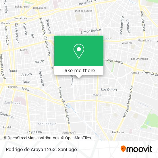 Mapa de Rodrigo de Araya 1263