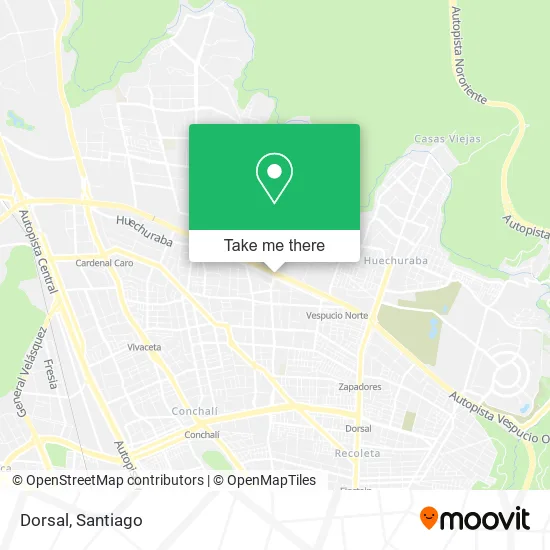 Dorsal map