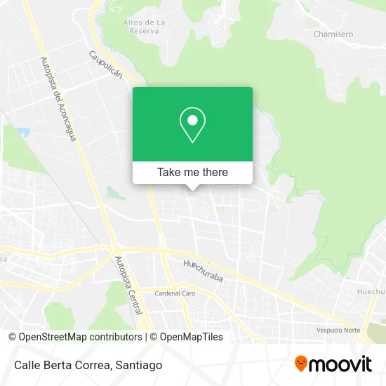 Calle Berta Correa map