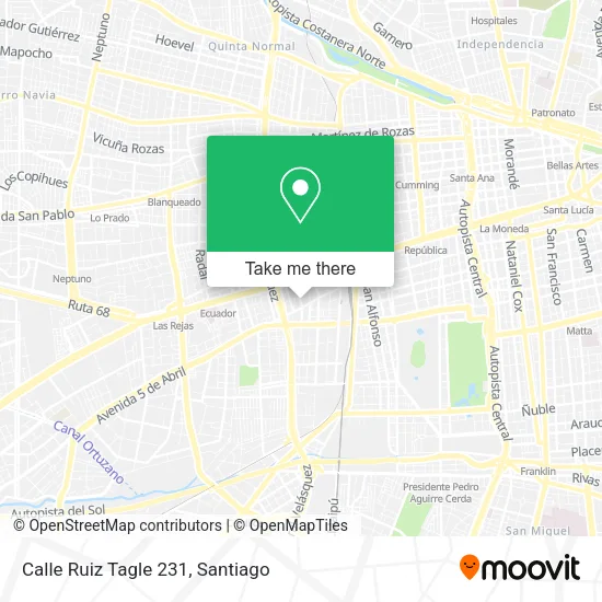 Calle Ruiz Tagle 231 map