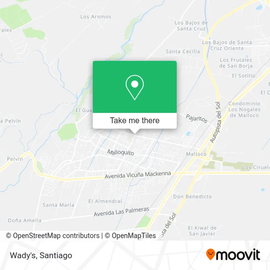 Wady's map