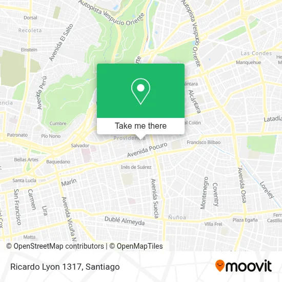 Ricardo Lyon 1317 map