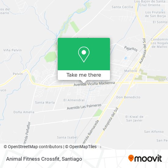 Animal Fitness Crossfit map