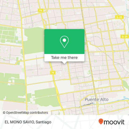 EL MONO SAVIO map