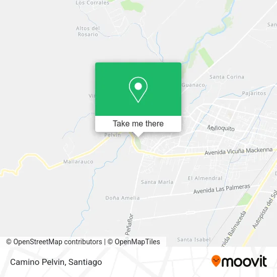 Mapa de Camino Pelvin