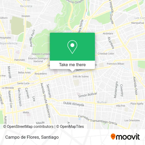 Mapa de Campo de Flores