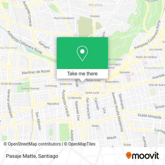 Pasaje Matte map