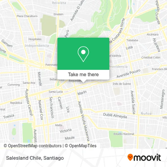 Salesland Chile map