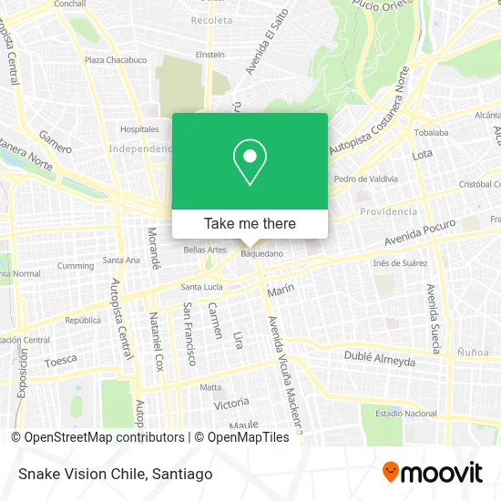 Snake Vision Chile map