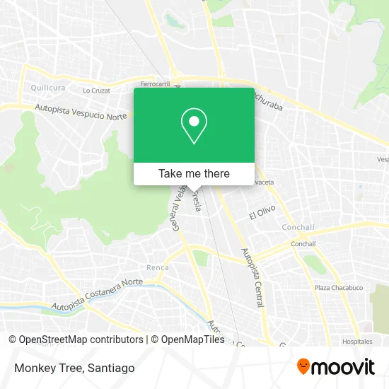 Monkey Tree map