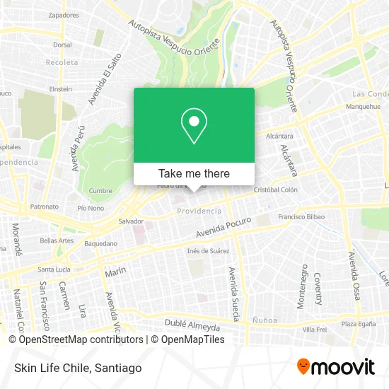 Skin Life Chile map
