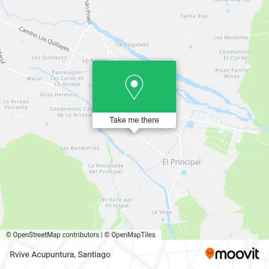 Rvive Acupuntura map