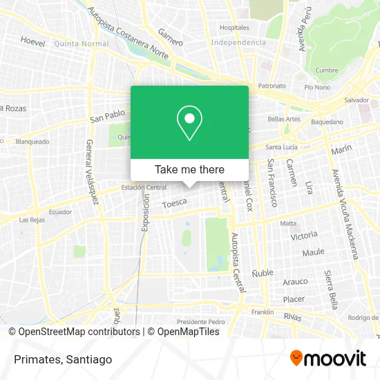 Primates map