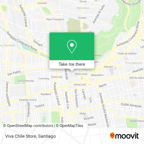 Viva Chile Store map