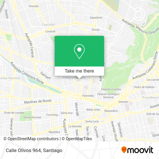 Mapa de Calle Olivos 964