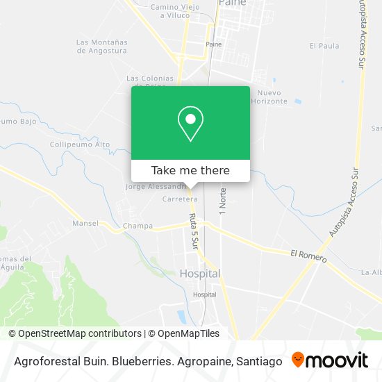 Agroforestal Buin. Blueberries. Agropaine map