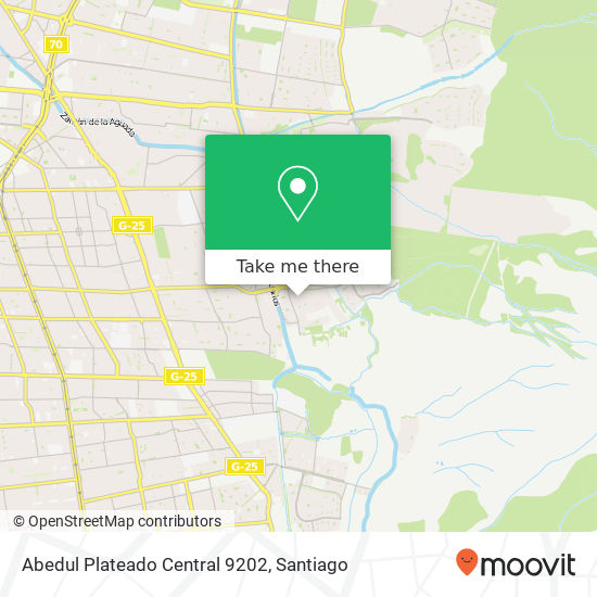 Abedul Plateado Central 9202 map