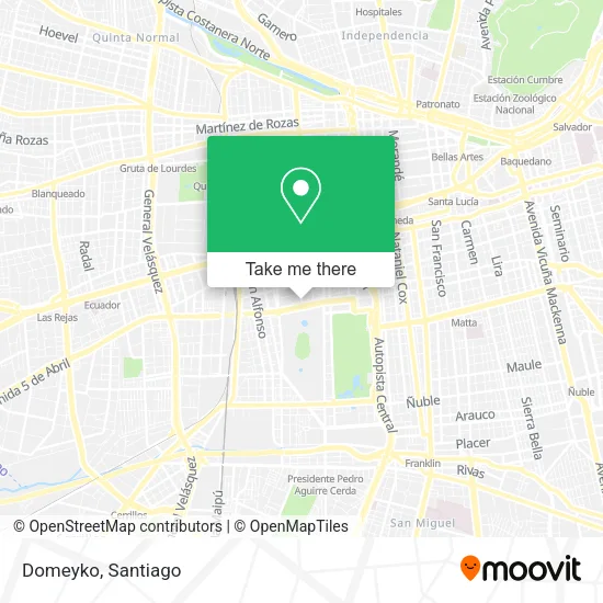Domeyko map