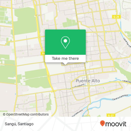 Mapa de Sangú, Calle Plaza Magna 8150000 Puente Alto, Puente Alto, Región Metropolitana de Santiago