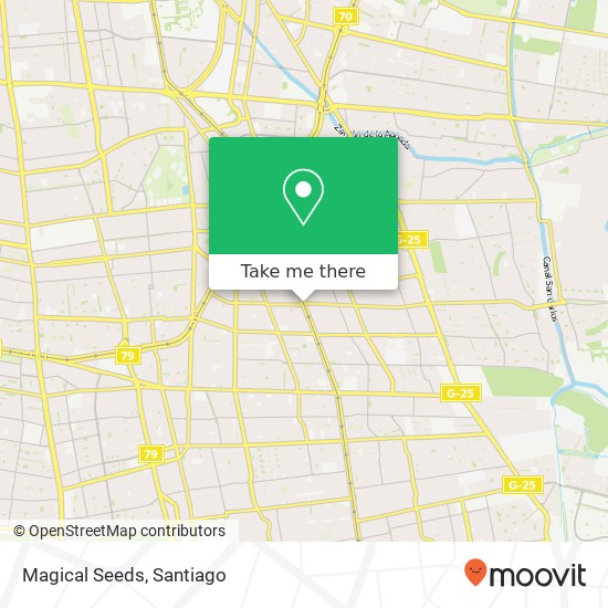 Mapa de Magical Seeds, Avenida Vicuña Mackenna 8240000 La Florida, La Florida, Región Metropolitana de Santiago