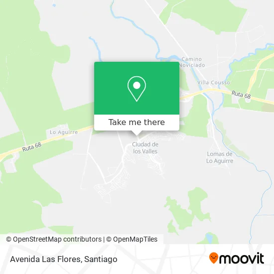 Avenida Las Flores map
