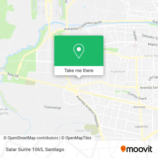 Salar Surire 1065 map