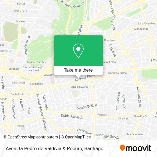 Avenida Pedro de Valdivia & Pocuro map