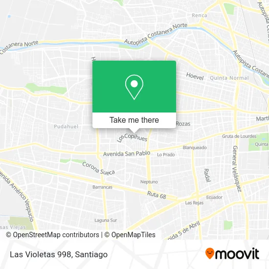 Las Violetas 998 map