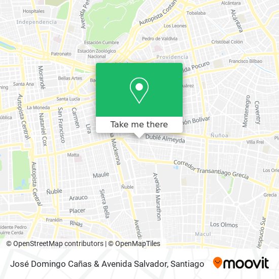 José Domingo Cañas & Avenida Salvador map
