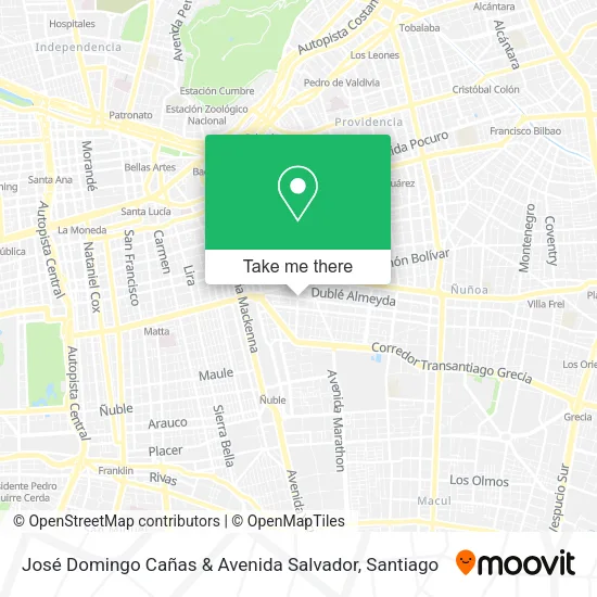 José Domingo Cañas & Avenida Salvador map