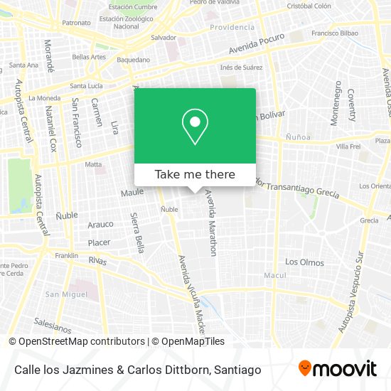 Calle los Jazmines & Carlos Dittborn map