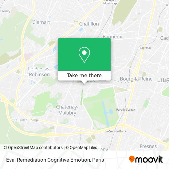 Eval Remediation Cognitive Emotion map
