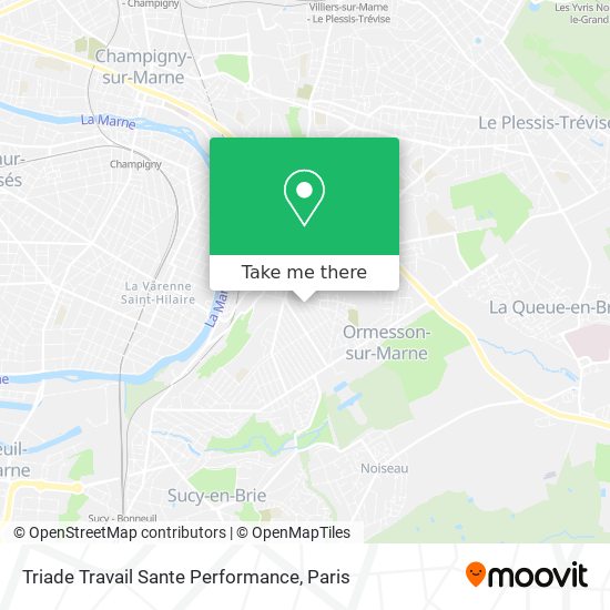 Triade Travail Sante Performance map