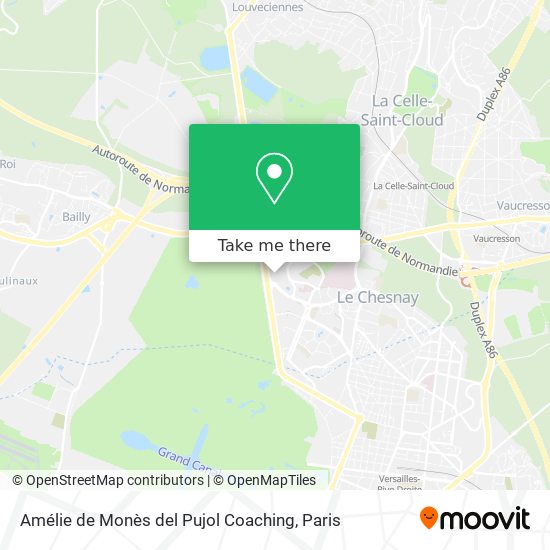 Amélie de Monès del Pujol Coaching map