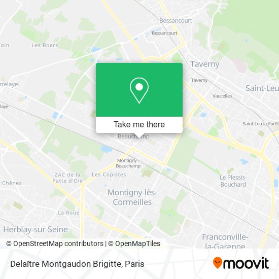 Mapa Delaître Montgaudon Brigitte