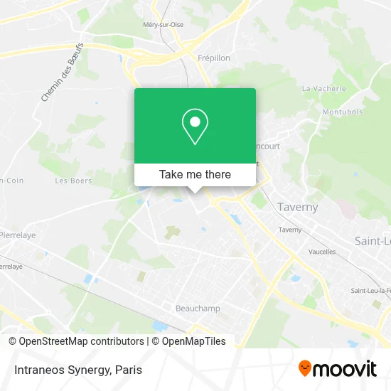 Intraneos Synergy map